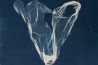 Ontwaken in blauw: cyanotypie in Fotomuseum Santos